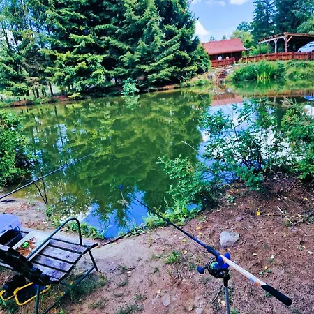 Borowe Chatki Nad Lubiszewem