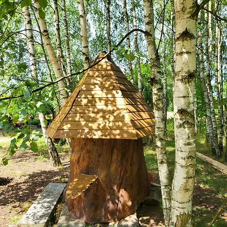 Lodge Borowe Chatki Nad Lubiszewem *
