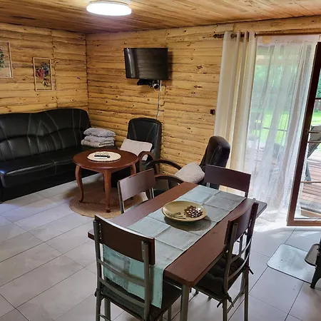 Borowe Chatki Nad Lubiszewem Lodge *