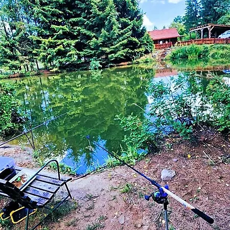 Borowe Chatki Nad Lubiszewem *
