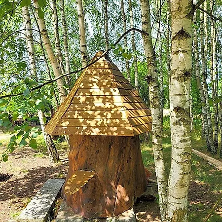 Borowe Chatki Nad Lubiszewem Lodge