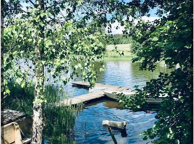 Borowe Chatki Nad Lubiszewem * Lipusz