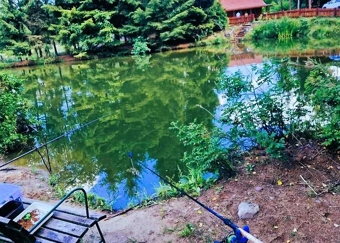 Borowe Chatki Nad Lubiszewem